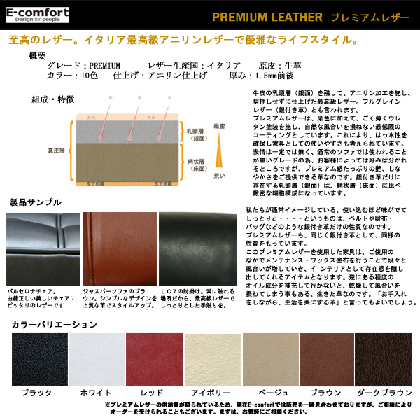 イーコンフォート　プレミアムレザー