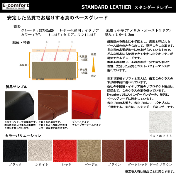 イーコンフォート　スタンダードレザー
